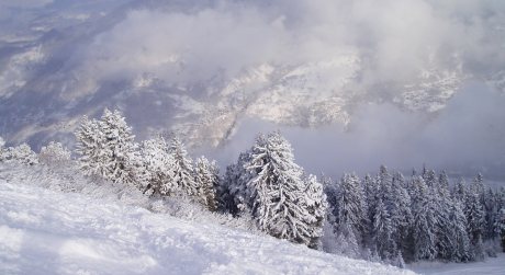 [PHOTO]Une explosion de crème fouettée